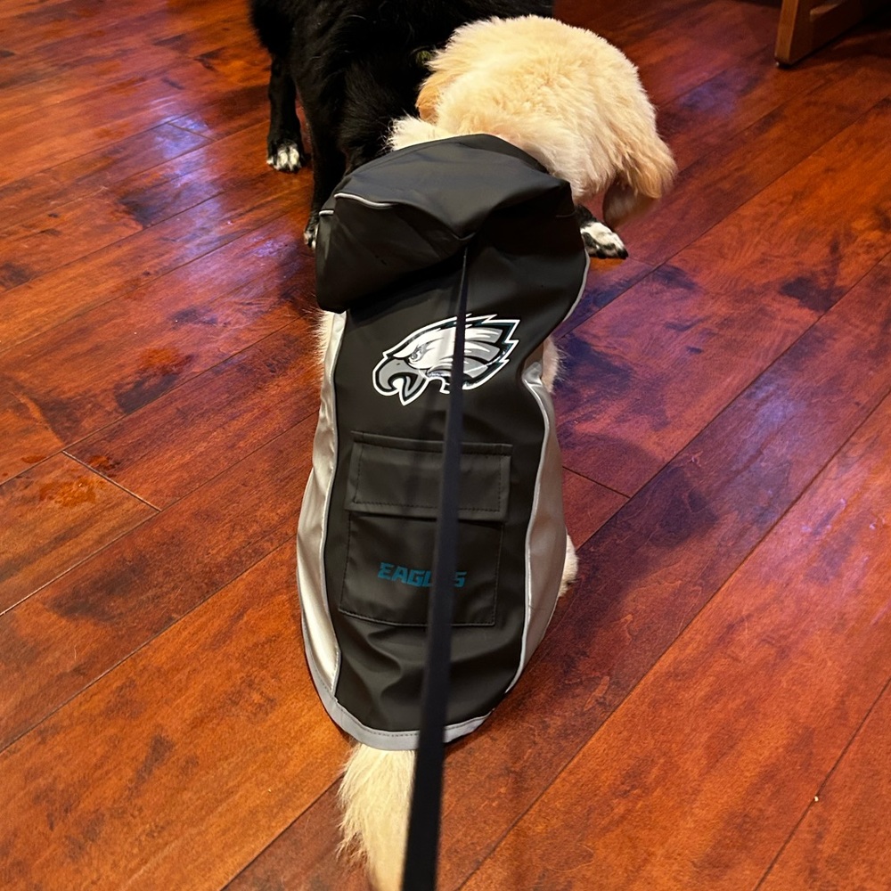 Eagles Dog Raincoat - size M